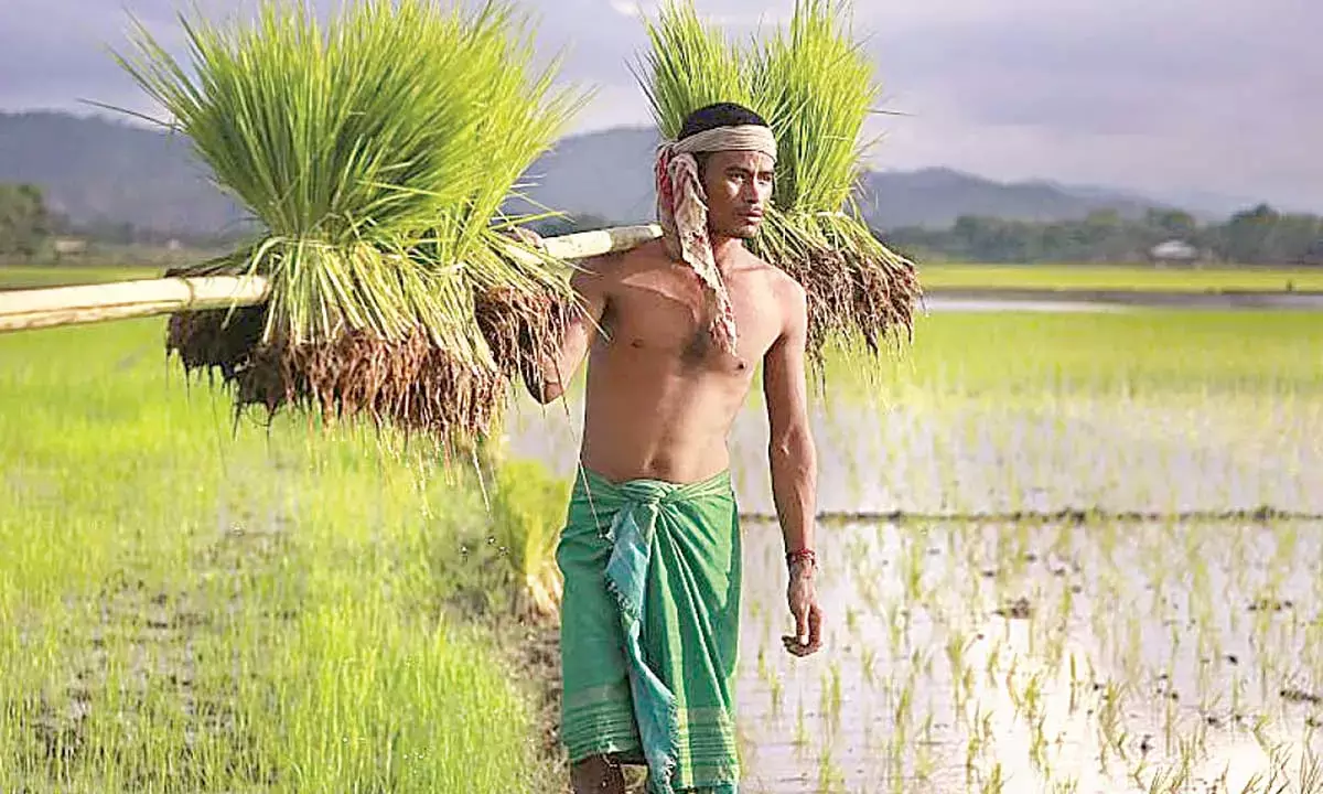 Redesigning agri to align with nature is the need of the hour