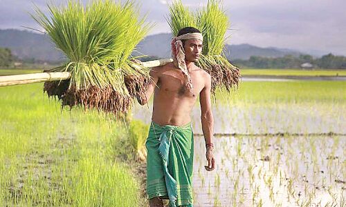 Redesigning agri to align with nature is the need of the hour Redesigning agri to align with nature is the need of the hour