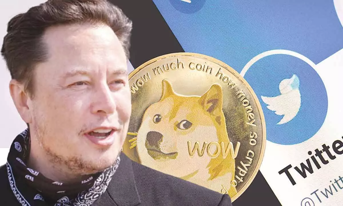 Elon Musk supports buying Dogecoin