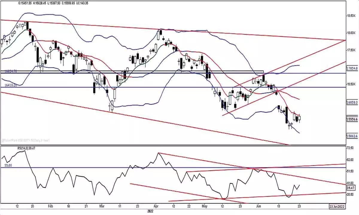 Nifty forms long-legged small body candle