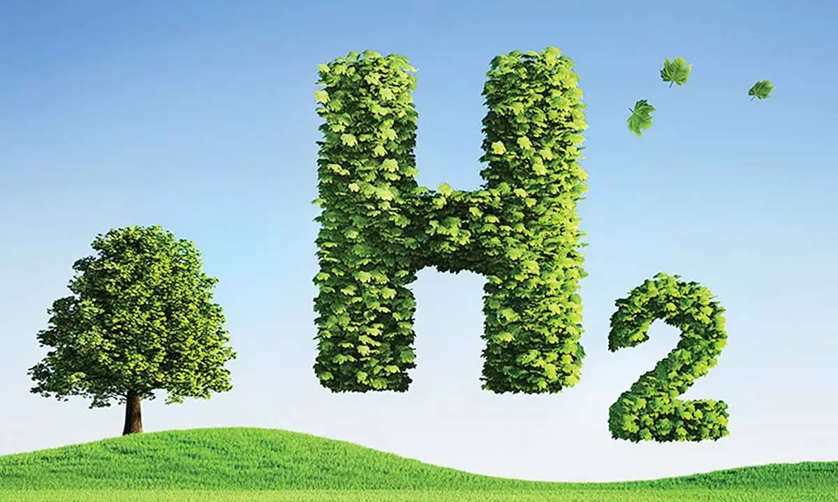 Can India achieve green hydrogen target?