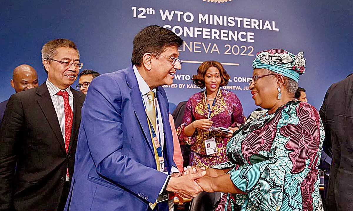 Was WTO meet a success for India?
