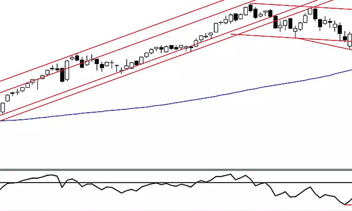 Nifty forms neutral bar on Elder Impulse system Nifty forms neutral bar on Elder Impulse system