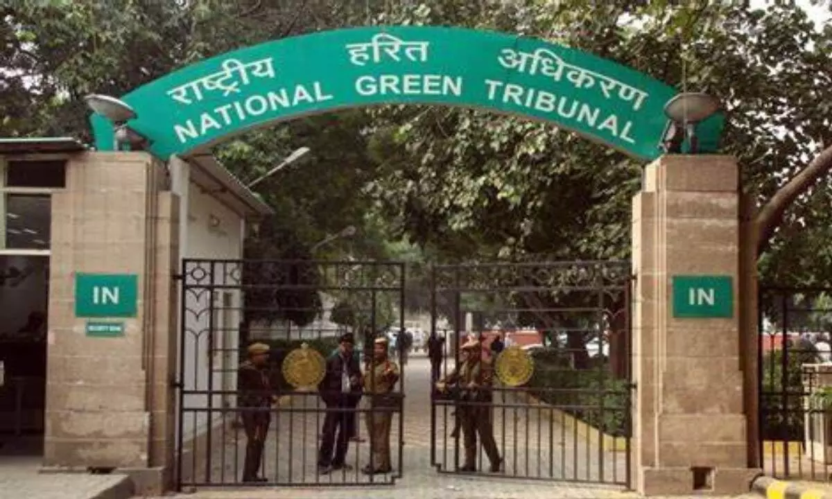 NGT slaps Rs 153 cr on Ansal Properties & Infrastructure Ltd for green violations