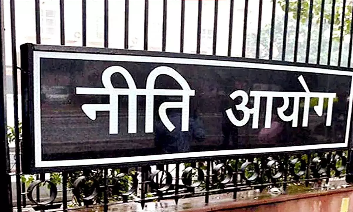 Need MSP till mkts get competitive: NITI Aayog