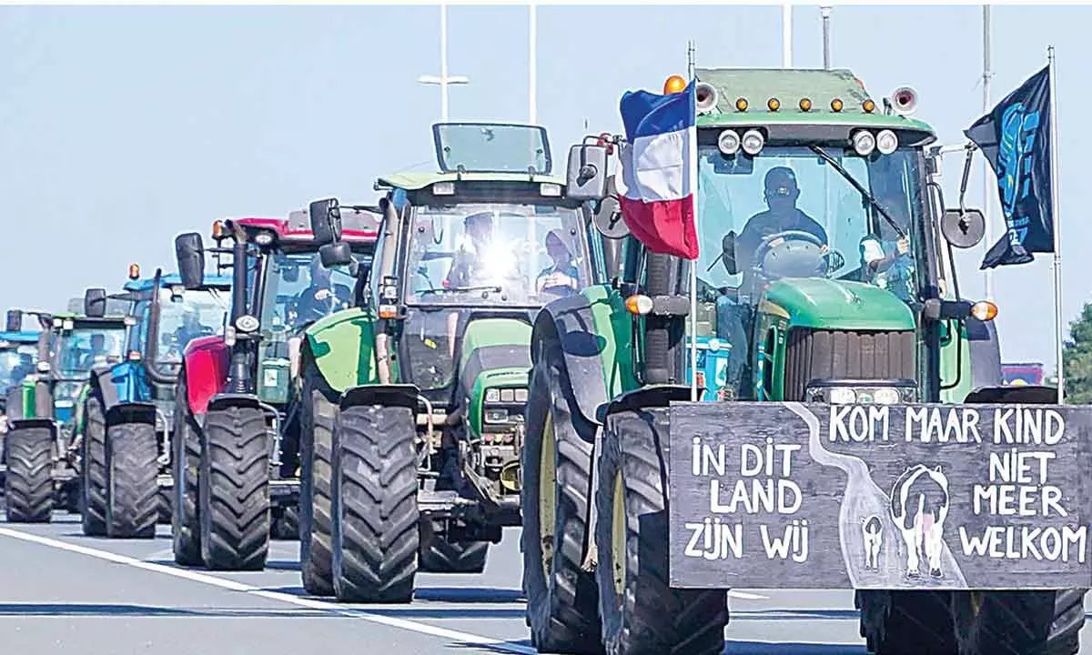 Why Dutch farmers protesting against new emission norms