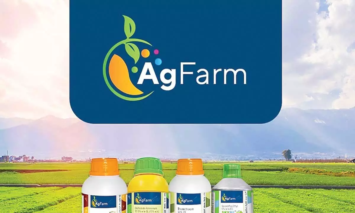 AgFarm to foray in Telangana