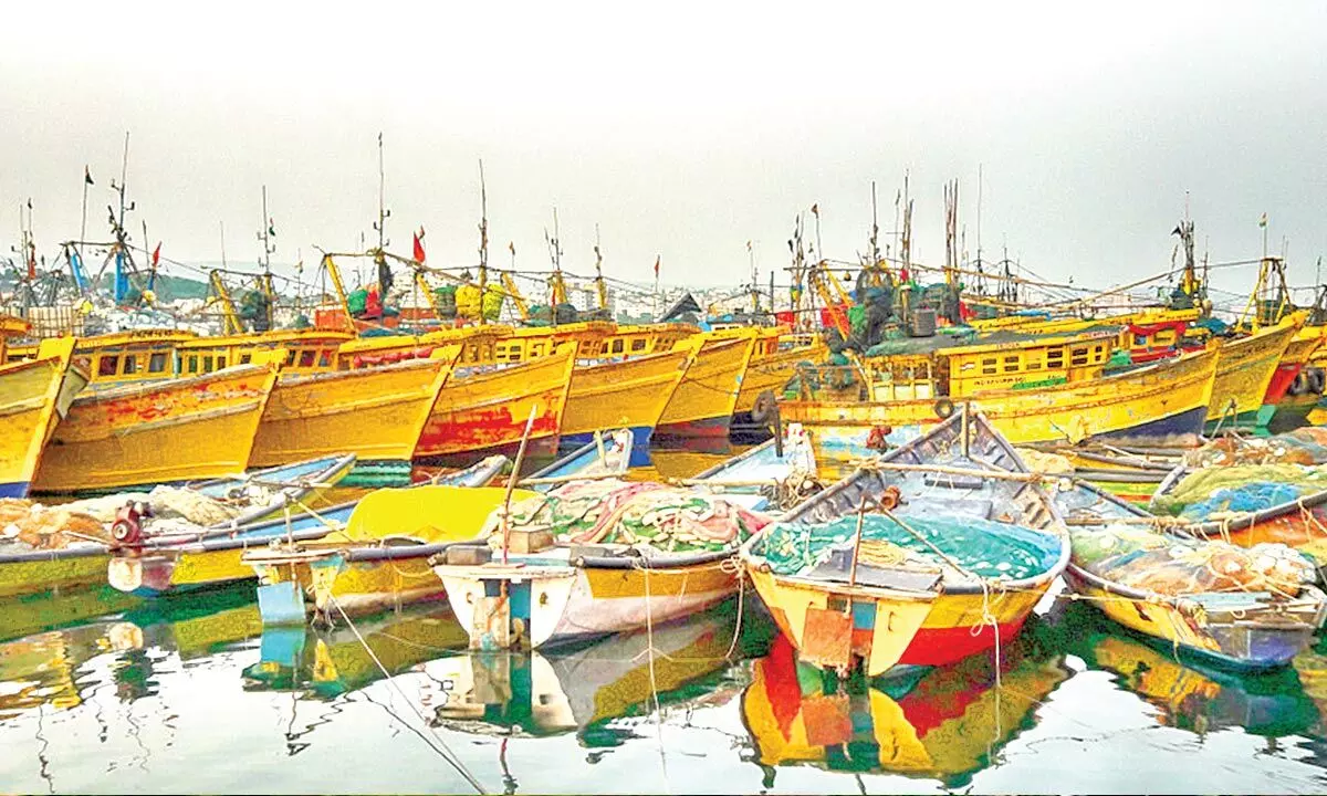 Vizag set to improve its reputation as India’s top seafood export hub