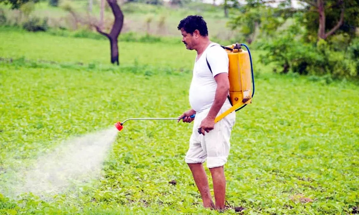 Foundation stone for nano urea plant laid in Bengaluru