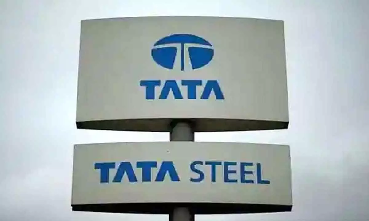 Tata Steel in Rs12k-cr capex drive