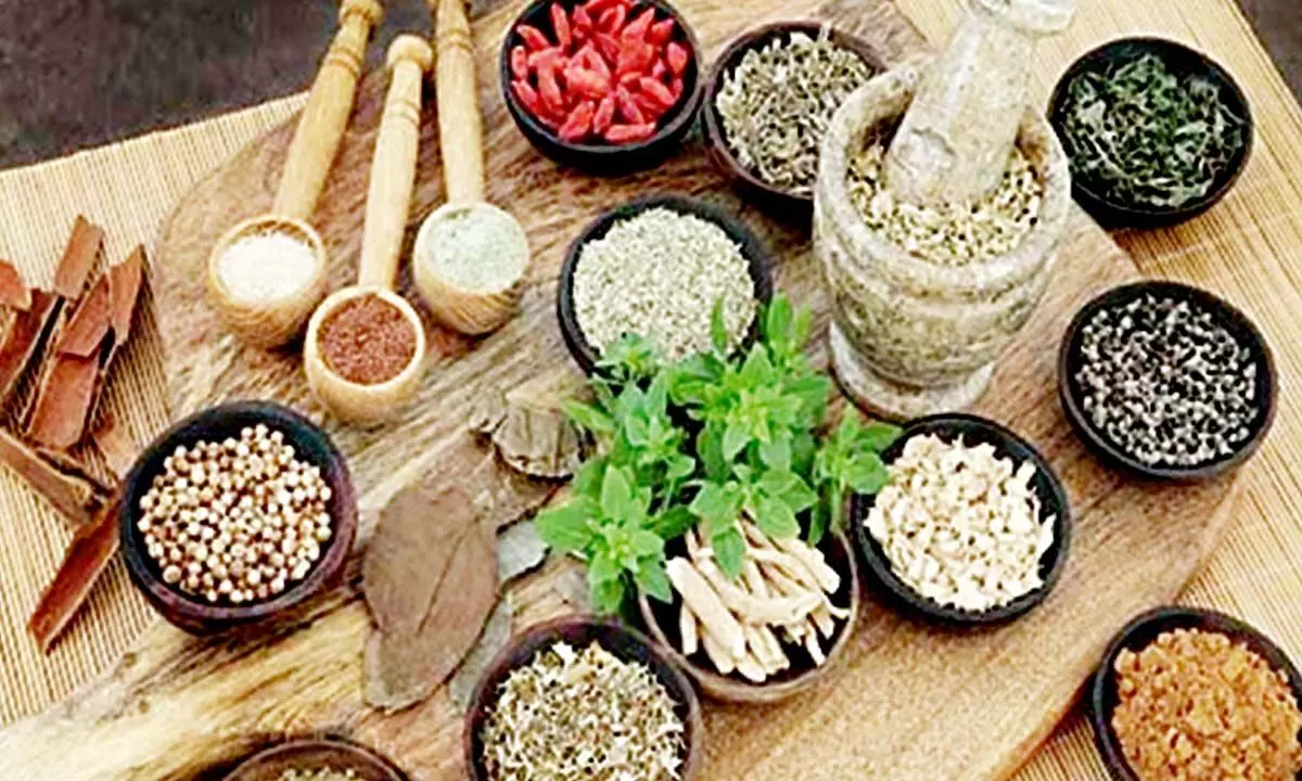 Establishing separate HS Code & AEPC to boost Ayush exports