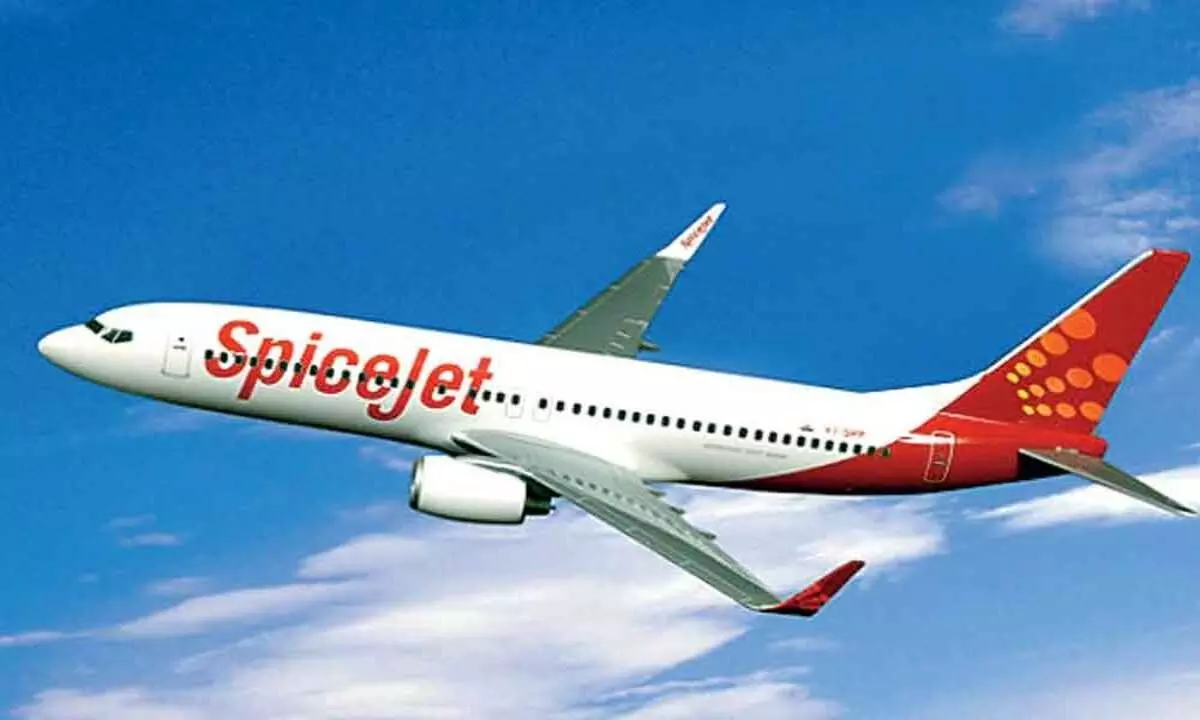SpiceJet shares zoom 7% on strong Q1 results