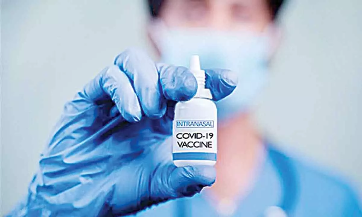 Bharat Biotech expects regulator’s nod in Aug