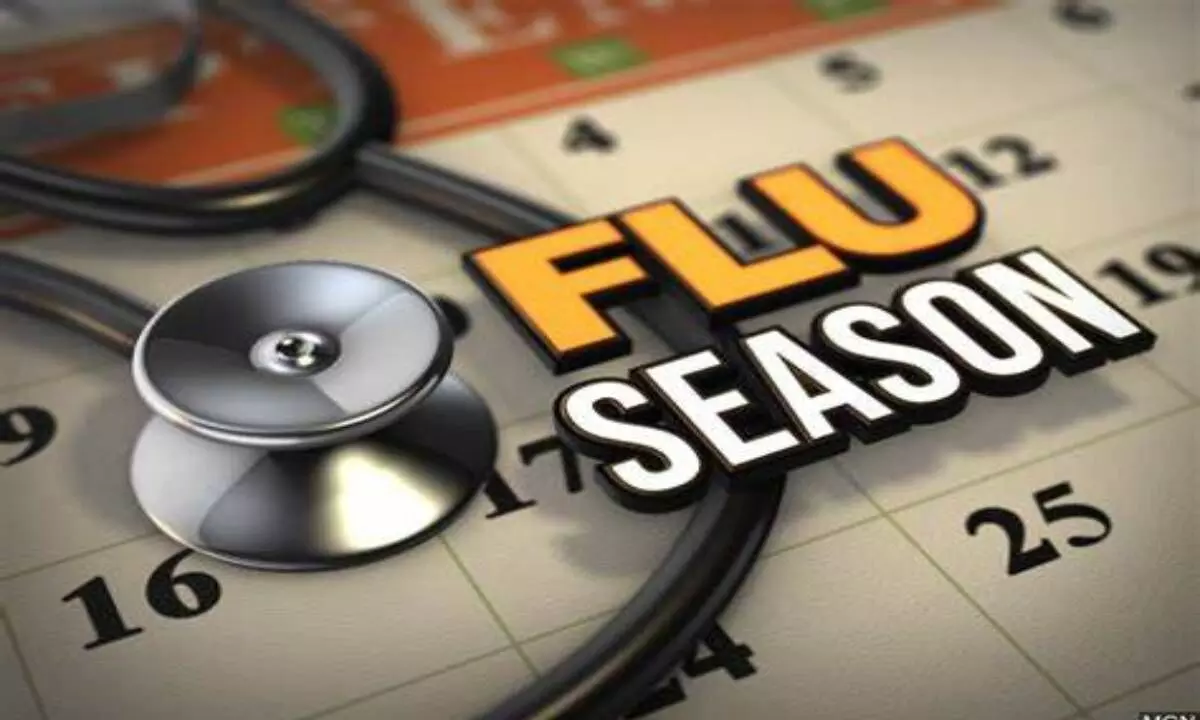 Experts predict severe flu season in India