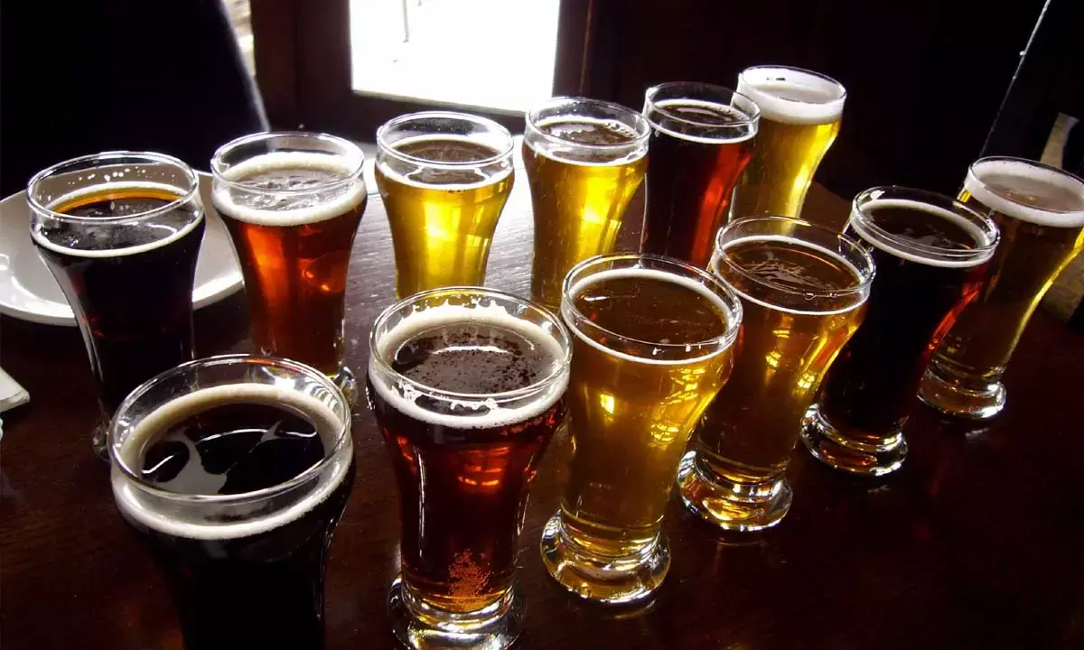 Indian beer market set for strong growth