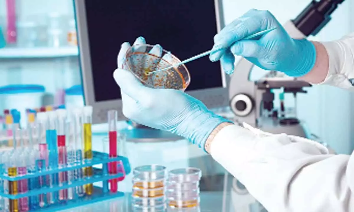 Declining trend in R&D funding in pharma sector a cause for worry