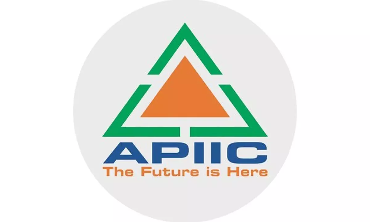 300 essential services under single window: APIIC