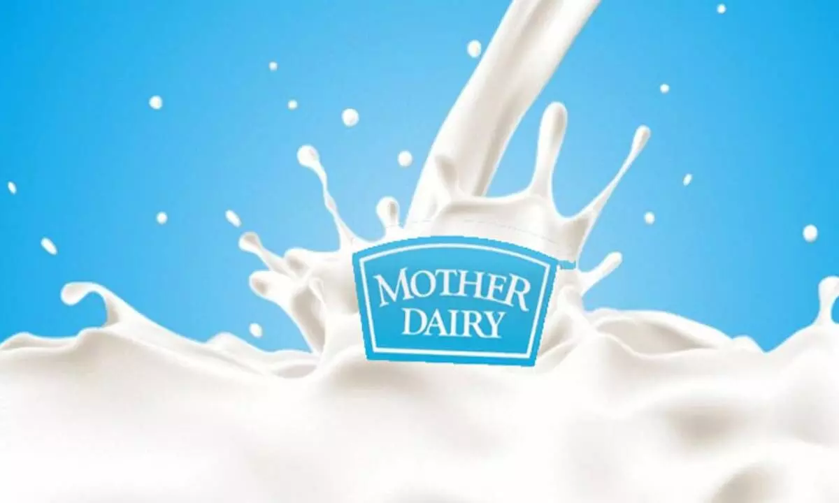 Mother Dairy to hike milk prices by Rs 2 per litre in Delhi-NCR from August 17