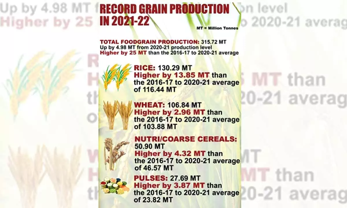 Heatwave hits wheat output