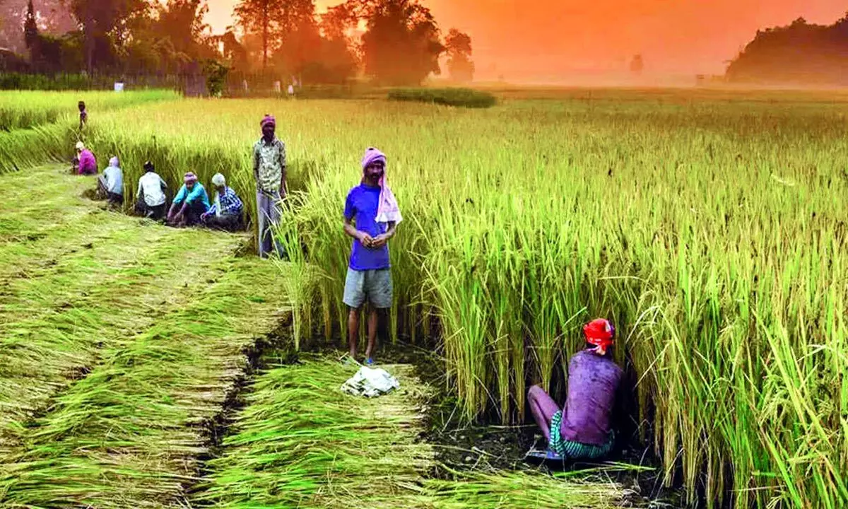 Will G-20 Presidency help India correct anomaly of agri subsidies?