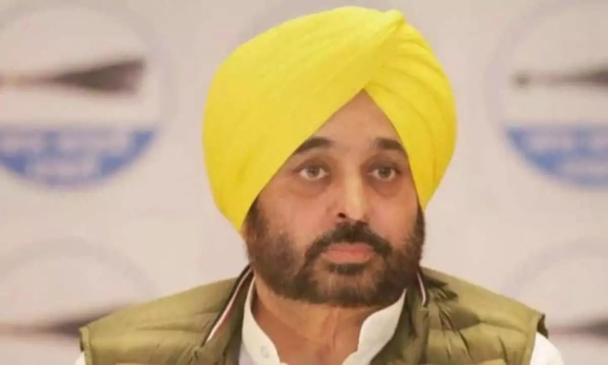 Punjab CM Bhagwant Mann invites German firm BayWa to provide sustainable agriculture solutions