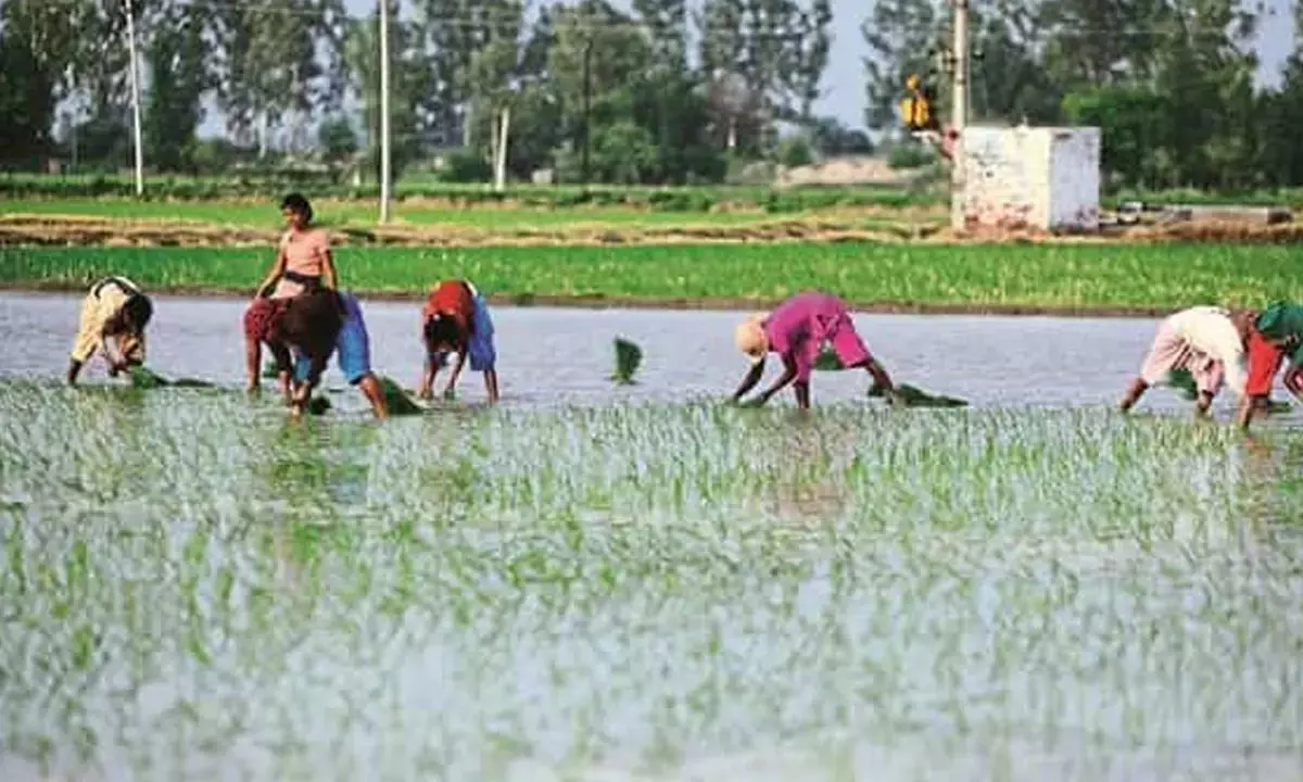 Back to roots: Why India needs to shift its policy focus on rural revitalisation