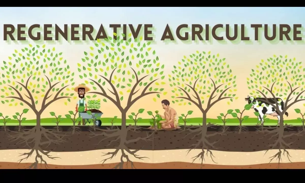 Dr Reddys to host roundtable discussion on Agrarian issues