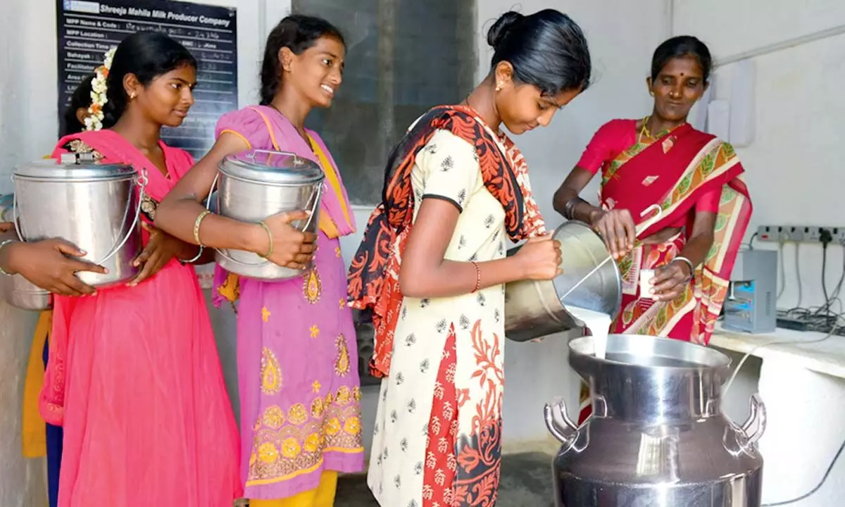 How this women-led milk producer company empowering rural women