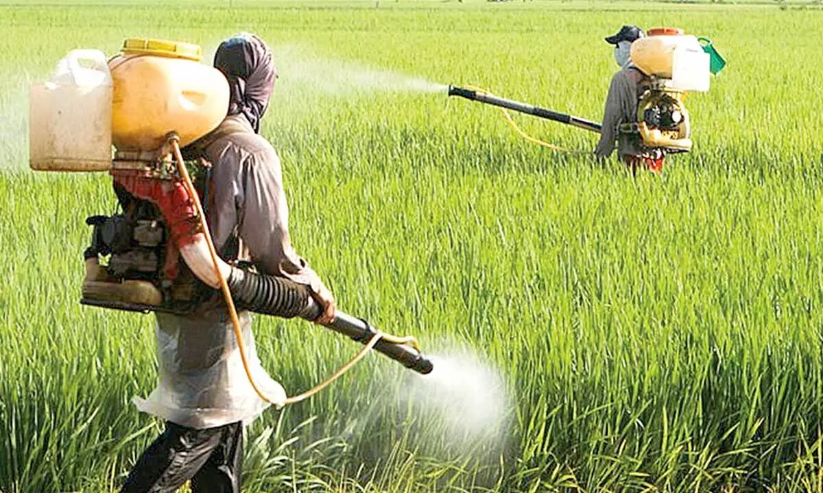 Dhanuka Group seeks action against ghost firms selling spurious pesticides
