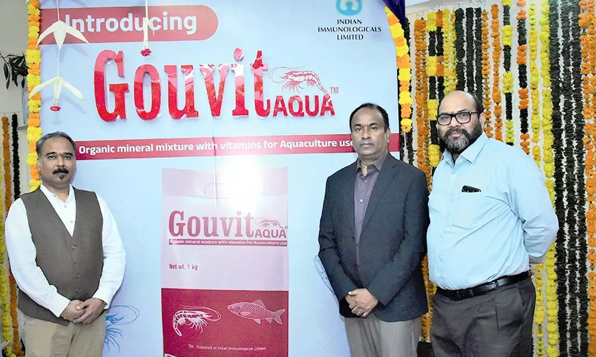 IIL forays into aquaculture health mkt