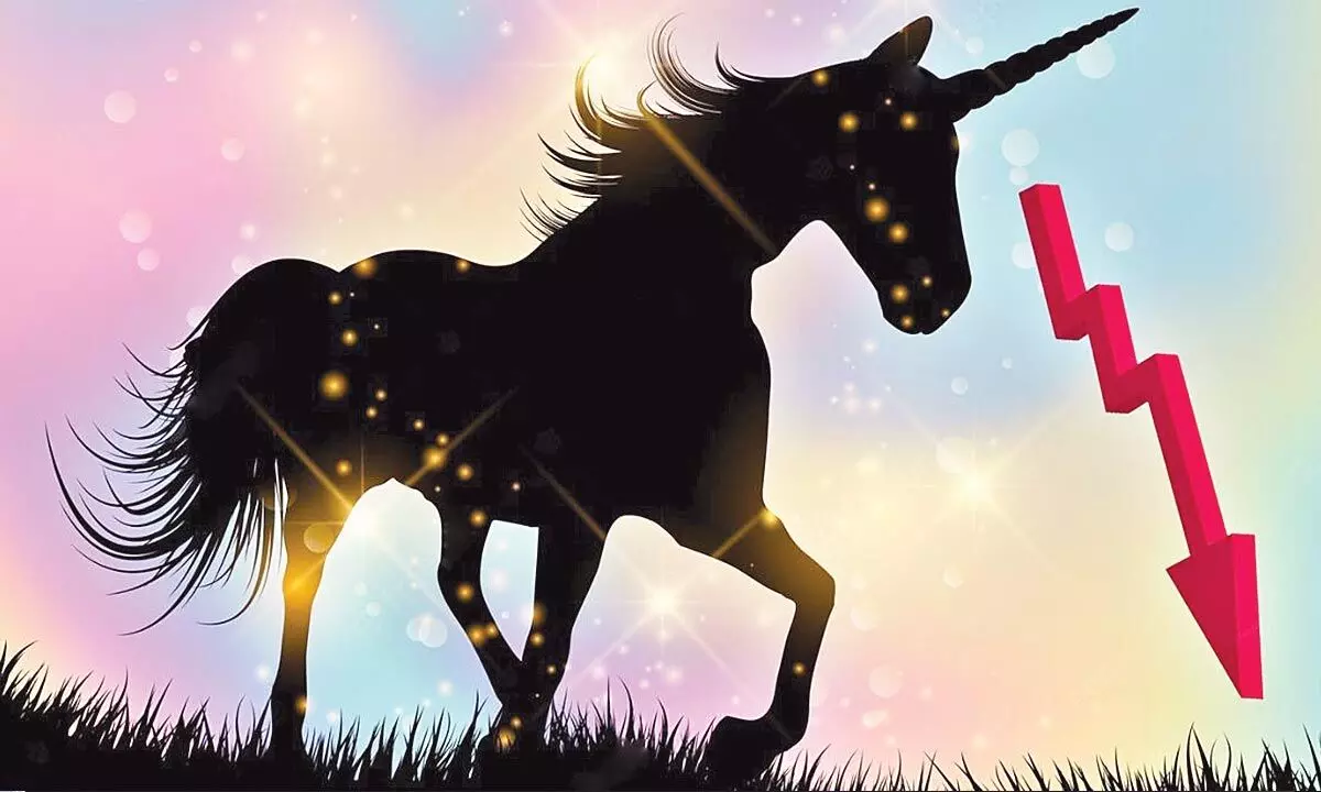 Q3 clocks only 2 Unicorns amid funding winter