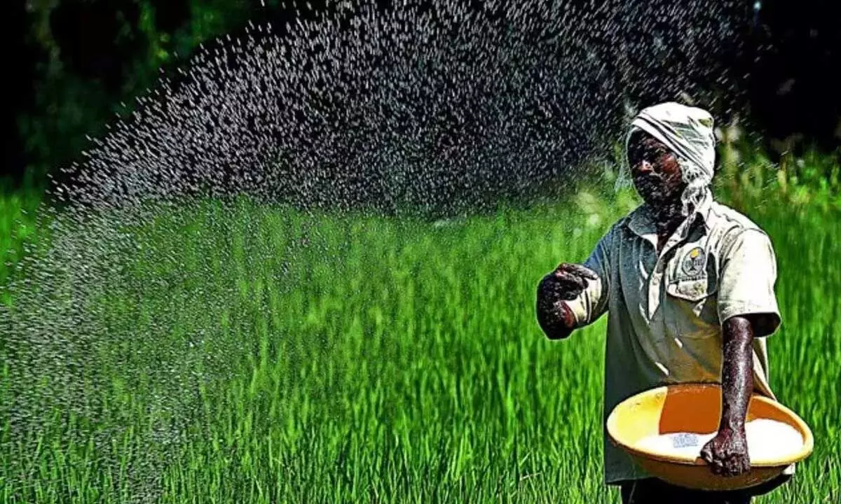 Centre extends freight subsidy to SSP fertilisers