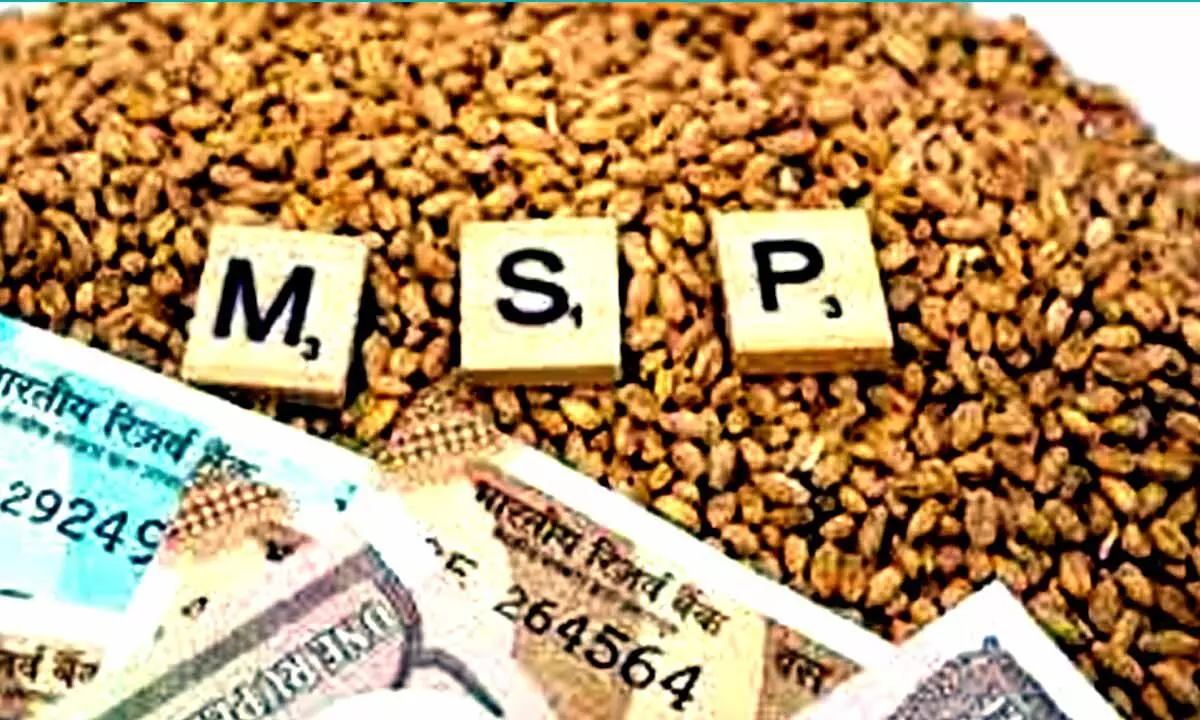 Centre hikes MSP for 6 Rabi crops