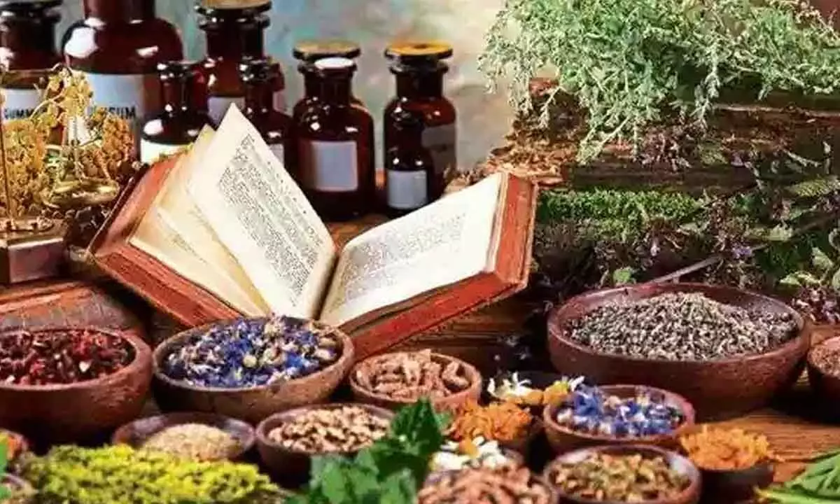 Govt should walk the extra mile to boost exports of ayush medicines