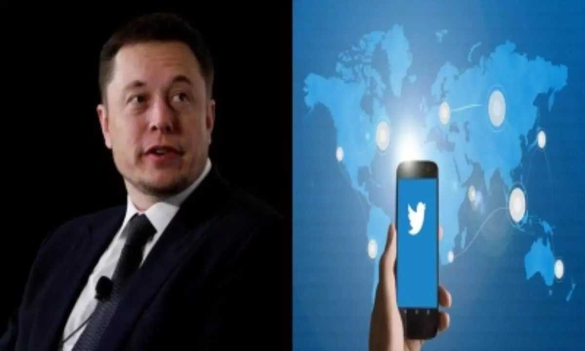 Elon Musk may soon delete 1.5 billion users accounts to save name space, will your followers drop?