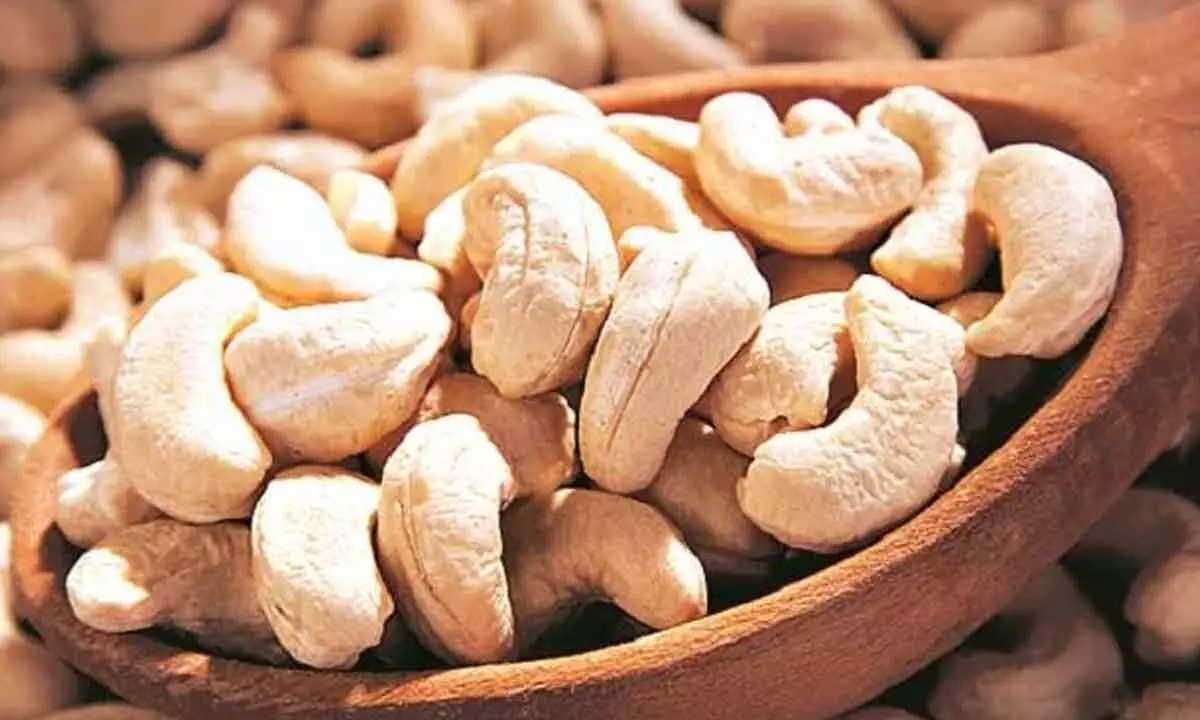 Cashew exports plunge deeper to 38% in Sep