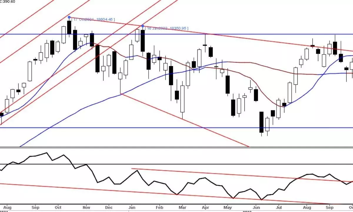 High volatility likely in truncated week