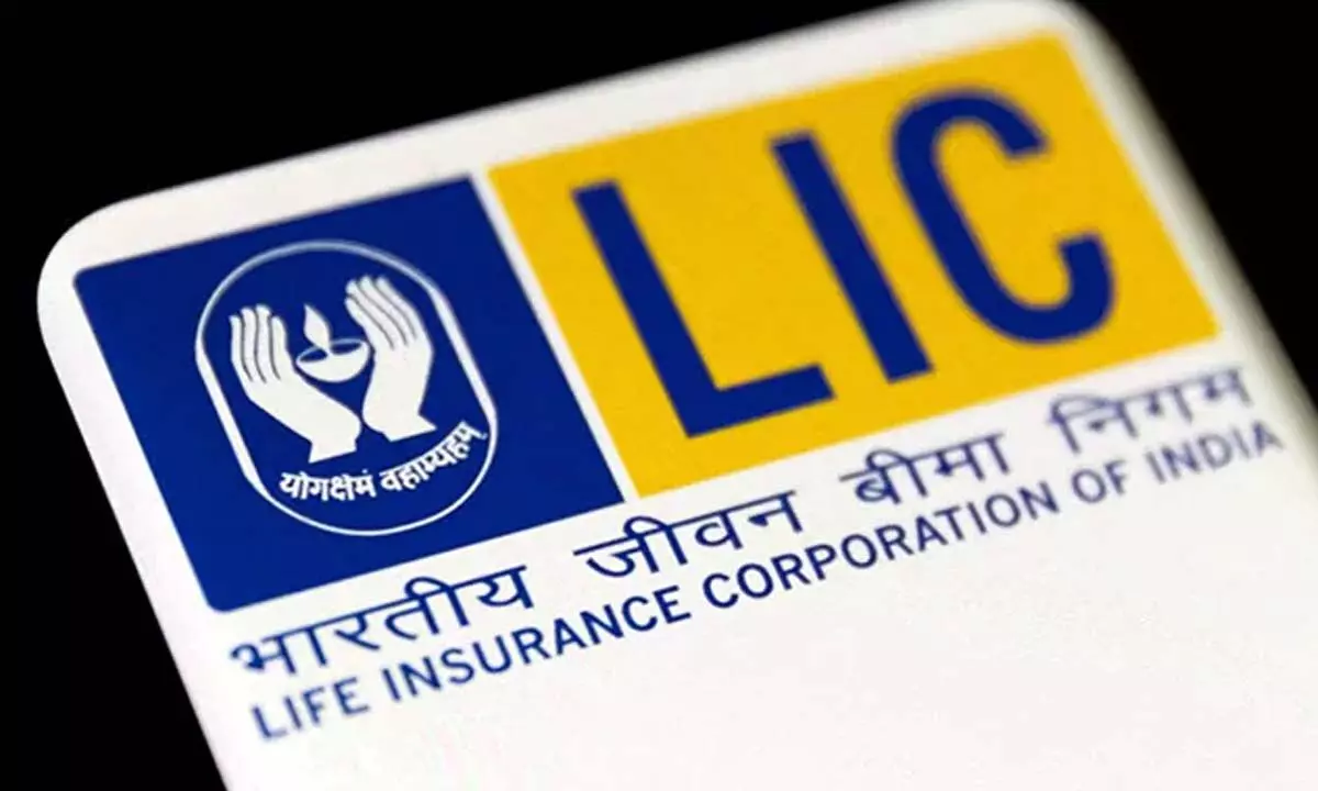 Combination of factors behind LIC share price going up: Experts