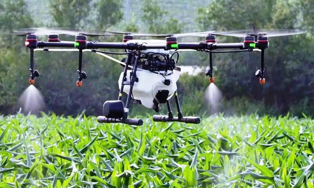 Is drone-based pesticide spraying safe?