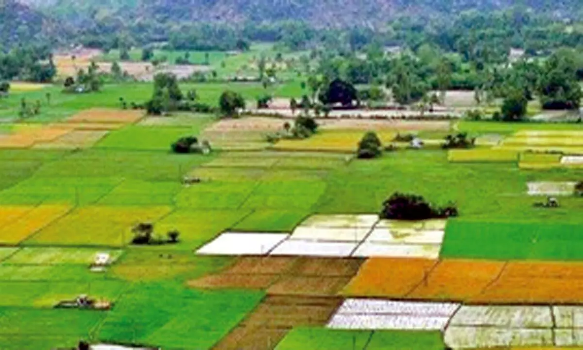 Agri land prices in modest recovery since May