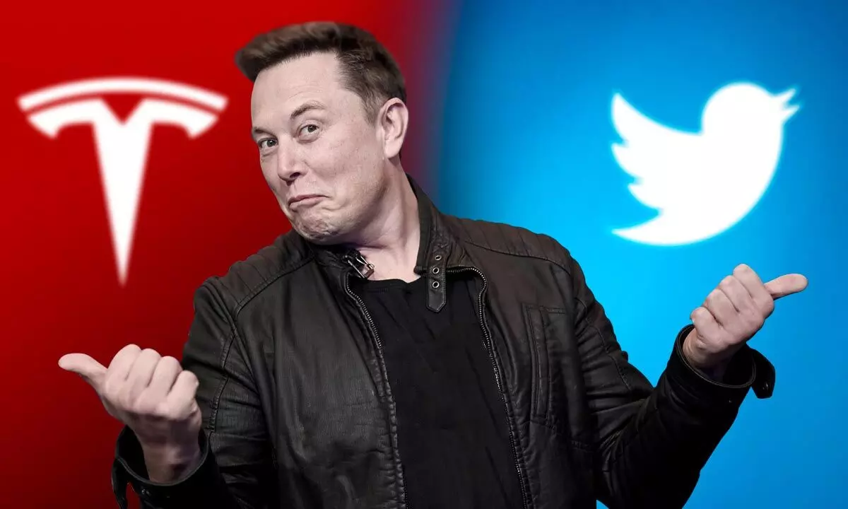 Musk sells Tesla stock worth $3.5 bn amid Twitter overhaul