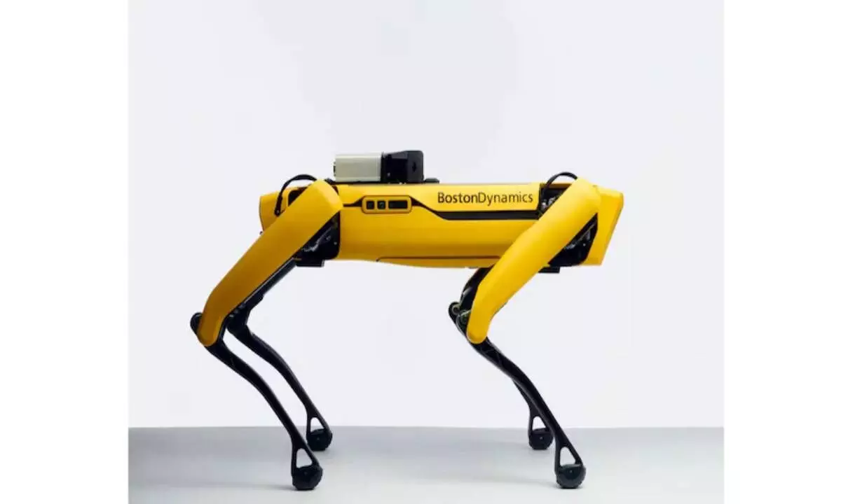 Boston Dynamics sues Ghost Robotics for copying its robot dog