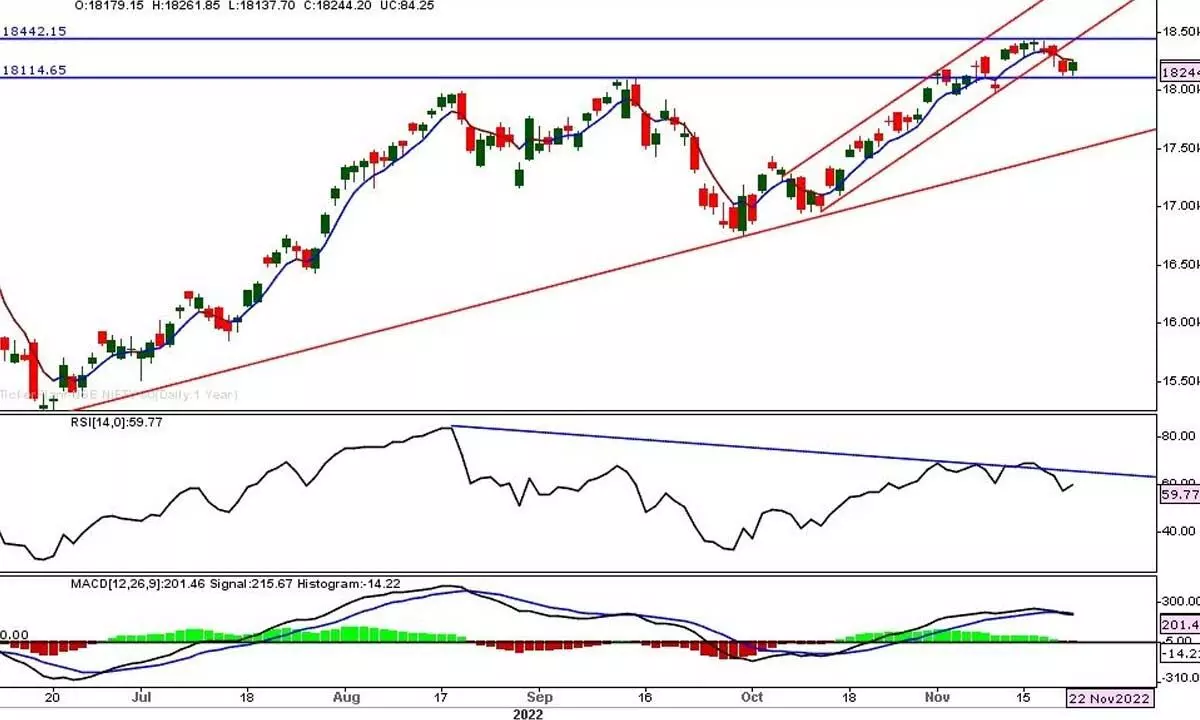 MACD shows increased bearish momentum