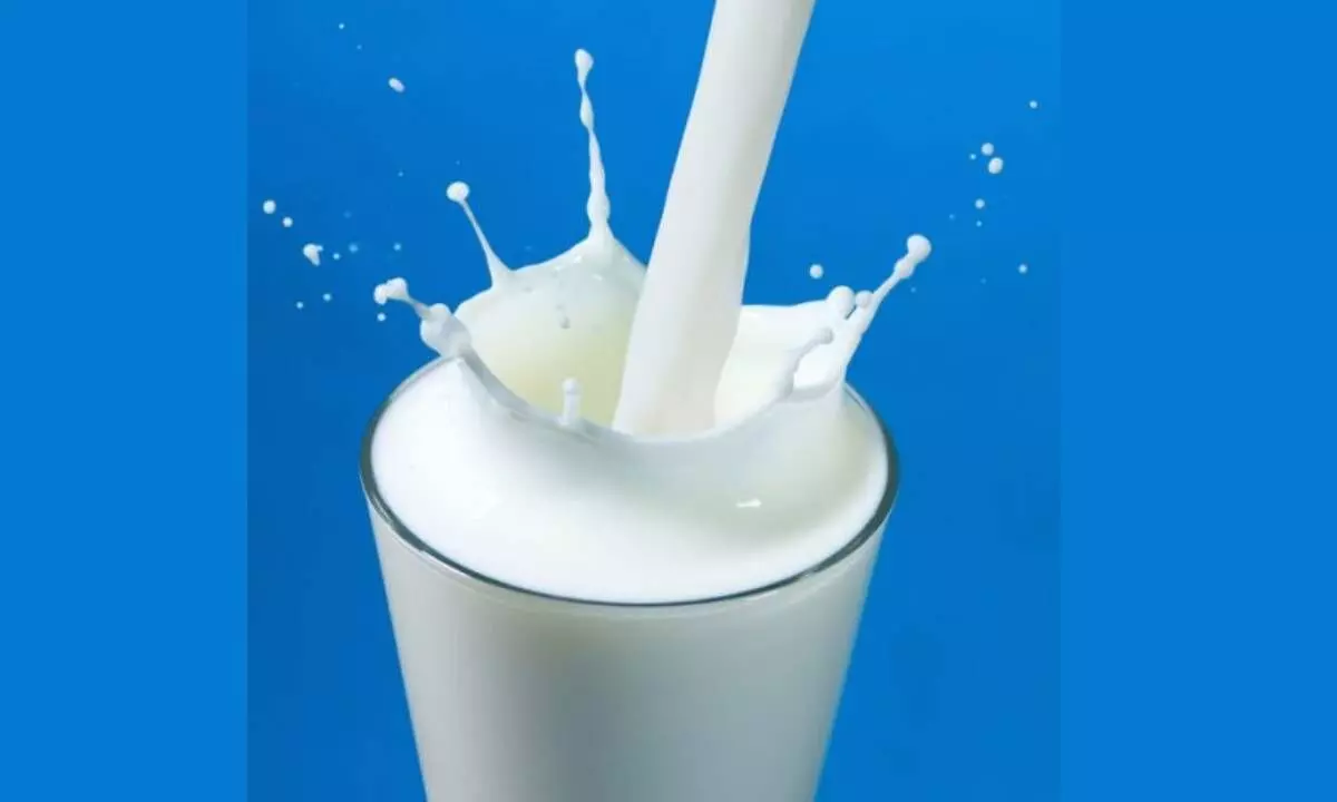 Another shock as milk price reaches Pak Rs 210 a litre in Karachi