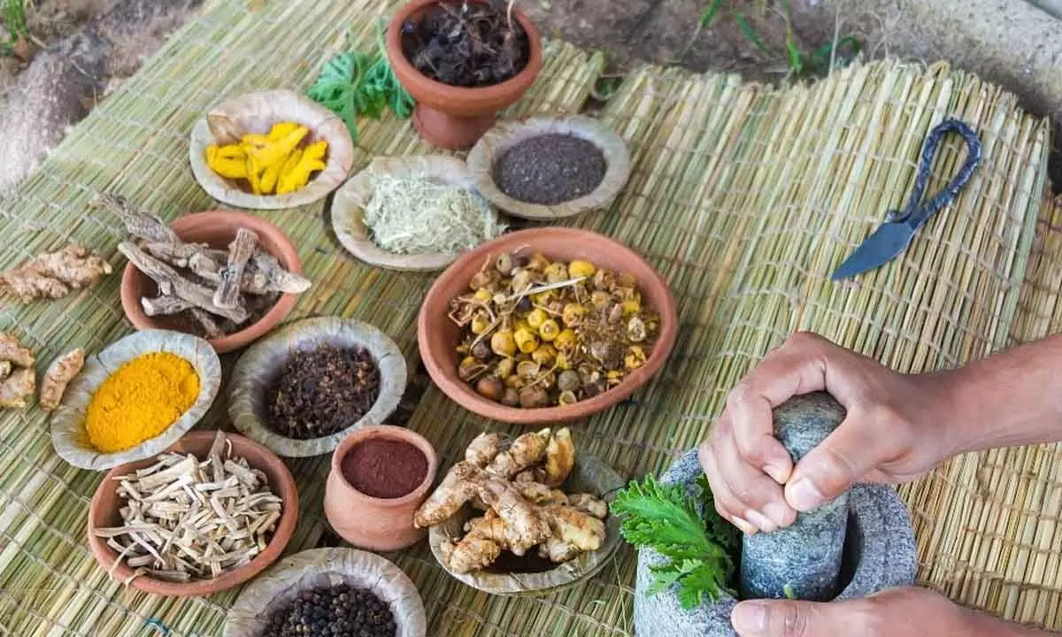 Strengthening research in traditional medicine for affordable healthcare