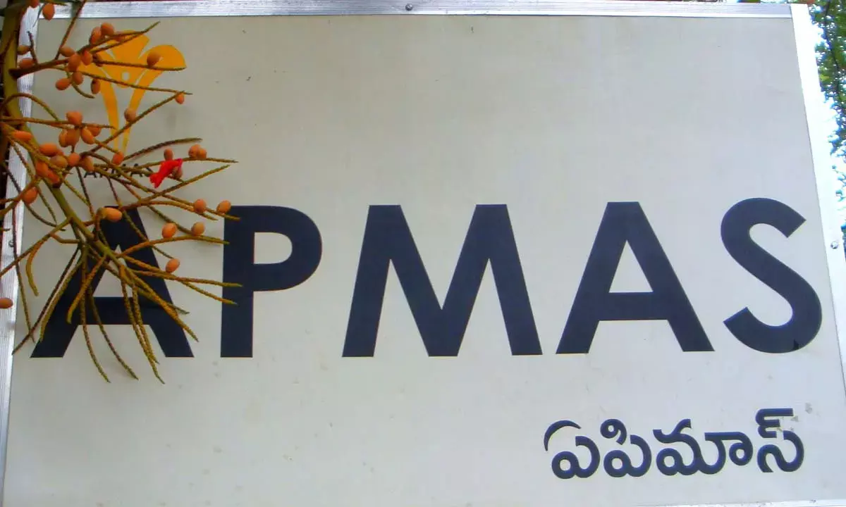 Andhra Pradesh Mahila Abhivruddhi Society