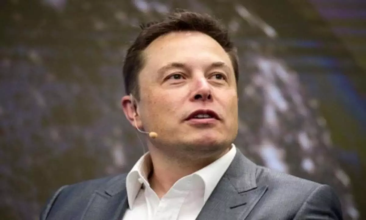 Luck is greatest superpower: Musk