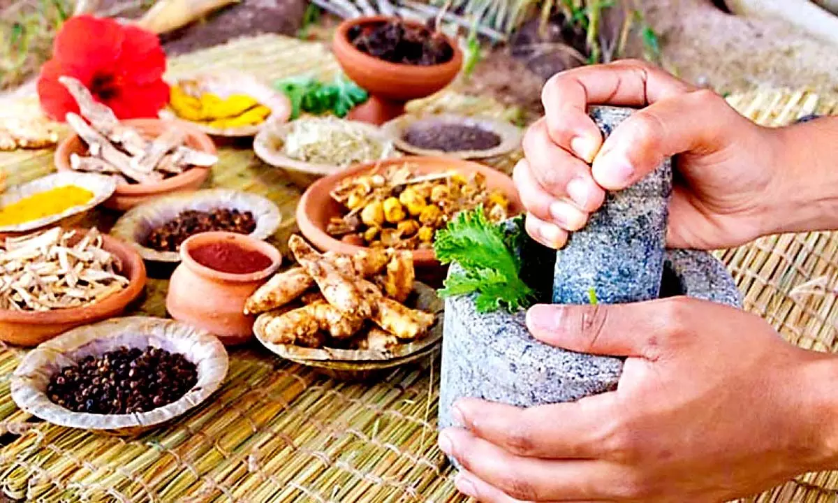 WHO mulling over regulatory platform for Ayurveda practitioners