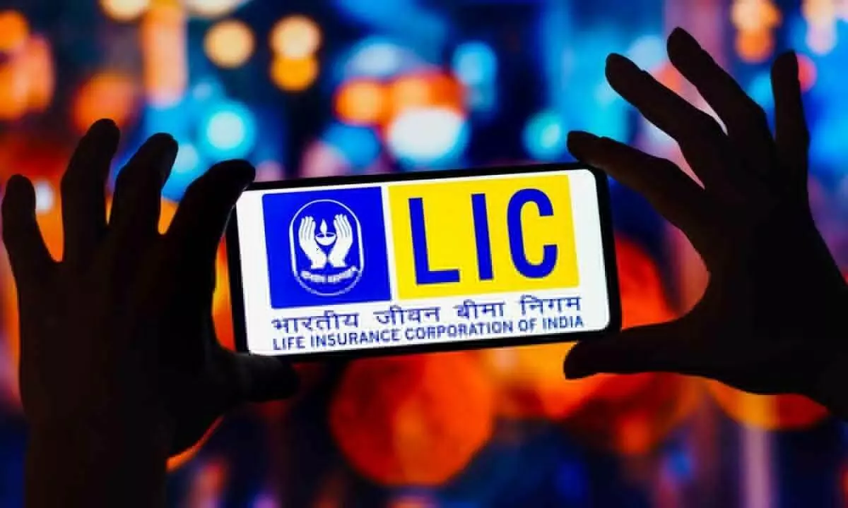 LIC may look at composite licence after passage of Insurance Bill