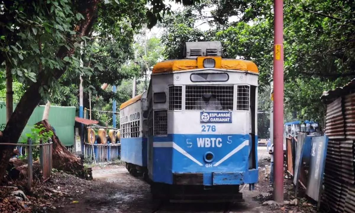 Need to revive eco-friendly trams